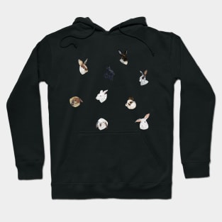 Lots of Bunnies Hoodie